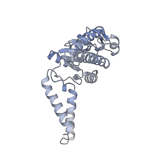 19076_8rdv_A4_v1-2
Cryo-EM structure of P. urativorans 70S ribosome in complex with hibernation factor Balon, mRNA and P-site tRNA (structure 2).