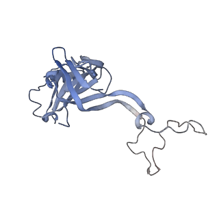 19076_8rdv_Af_v1-2
Cryo-EM structure of P. urativorans 70S ribosome in complex with hibernation factor Balon, mRNA and P-site tRNA (structure 2).