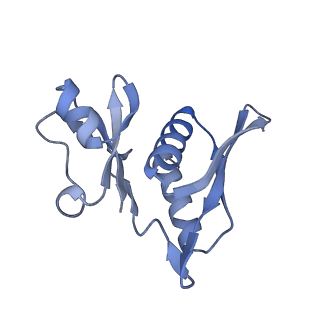 19076_8rdv_BQ_v1-2
Cryo-EM structure of P. urativorans 70S ribosome in complex with hibernation factor Balon, mRNA and P-site tRNA (structure 2).