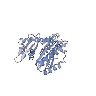 19076_8rdv_B_v1-2
Cryo-EM structure of P. urativorans 70S ribosome in complex with hibernation factor Balon, mRNA and P-site tRNA (structure 2).