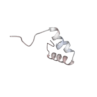 19076_8rdv_Ba_v1-2
Cryo-EM structure of P. urativorans 70S ribosome in complex with hibernation factor Balon, mRNA and P-site tRNA (structure 2).