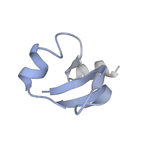 19076_8rdv_C1_v1-2
Cryo-EM structure of P. urativorans 70S ribosome in complex with hibernation factor Balon, mRNA and P-site tRNA (structure 2).