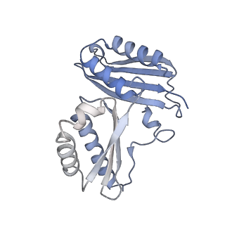 19076_8rdv_CT_v1-2
Cryo-EM structure of P. urativorans 70S ribosome in complex with hibernation factor Balon, mRNA and P-site tRNA (structure 2).