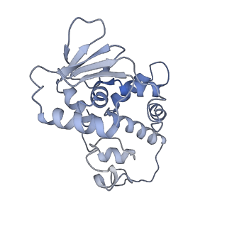 19076_8rdv_Dm_v1-2
Cryo-EM structure of P. urativorans 70S ribosome in complex with hibernation factor Balon, mRNA and P-site tRNA (structure 2).