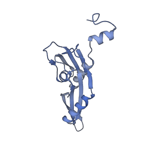 19076_8rdv_E5_v1-2
Cryo-EM structure of P. urativorans 70S ribosome in complex with hibernation factor Balon, mRNA and P-site tRNA (structure 2).