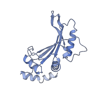 19076_8rdv_F7_v1-2
Cryo-EM structure of P. urativorans 70S ribosome in complex with hibernation factor Balon, mRNA and P-site tRNA (structure 2).