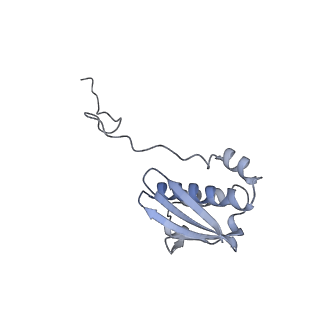 19076_8rdv_F_v1-2
Cryo-EM structure of P. urativorans 70S ribosome in complex with hibernation factor Balon, mRNA and P-site tRNA (structure 2).