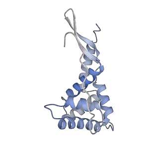 19076_8rdv_GS_v1-2
Cryo-EM structure of P. urativorans 70S ribosome in complex with hibernation factor Balon, mRNA and P-site tRNA (structure 2).