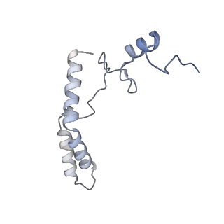 19076_8rdv_HK_v1-2
Cryo-EM structure of P. urativorans 70S ribosome in complex with hibernation factor Balon, mRNA and P-site tRNA (structure 2).