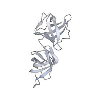 19076_8rdv_H_v1-2
Cryo-EM structure of P. urativorans 70S ribosome in complex with hibernation factor Balon, mRNA and P-site tRNA (structure 2).