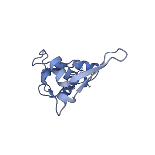 19076_8rdv_IX_v1-2
Cryo-EM structure of P. urativorans 70S ribosome in complex with hibernation factor Balon, mRNA and P-site tRNA (structure 2).