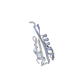 19076_8rdv_JY_v1-2
Cryo-EM structure of P. urativorans 70S ribosome in complex with hibernation factor Balon, mRNA and P-site tRNA (structure 2).