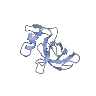 19076_8rdv_Je_v1-2
Cryo-EM structure of P. urativorans 70S ribosome in complex with hibernation factor Balon, mRNA and P-site tRNA (structure 2).