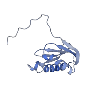 19076_8rdv_KU_v1-2
Cryo-EM structure of P. urativorans 70S ribosome in complex with hibernation factor Balon, mRNA and P-site tRNA (structure 2).