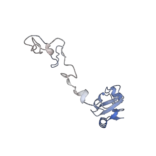 19076_8rdv_Kd_v1-2
Cryo-EM structure of P. urativorans 70S ribosome in complex with hibernation factor Balon, mRNA and P-site tRNA (structure 2).