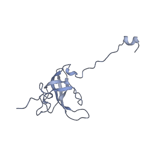 19076_8rdv_L6_v1-2
Cryo-EM structure of P. urativorans 70S ribosome in complex with hibernation factor Balon, mRNA and P-site tRNA (structure 2).