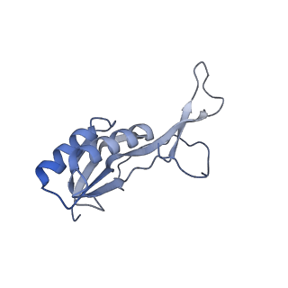 19076_8rdv_Lg_v1-2
Cryo-EM structure of P. urativorans 70S ribosome in complex with hibernation factor Balon, mRNA and P-site tRNA (structure 2).