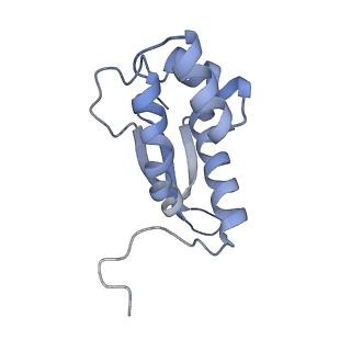 19076_8rdv_MB_v1-2
Cryo-EM structure of P. urativorans 70S ribosome in complex with hibernation factor Balon, mRNA and P-site tRNA (structure 2).