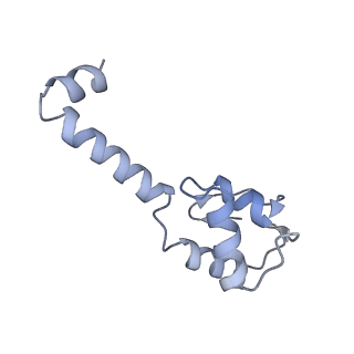 19076_8rdv_MM_v1-2
Cryo-EM structure of P. urativorans 70S ribosome in complex with hibernation factor Balon, mRNA and P-site tRNA (structure 2).