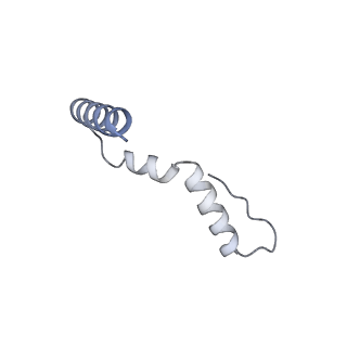 19076_8rdv_NV_v1-2
Cryo-EM structure of P. urativorans 70S ribosome in complex with hibernation factor Balon, mRNA and P-site tRNA (structure 2).