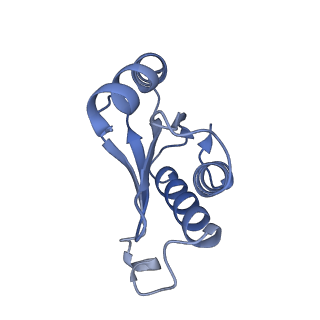 19076_8rdv_Nc_v1-2
Cryo-EM structure of P. urativorans 70S ribosome in complex with hibernation factor Balon, mRNA and P-site tRNA (structure 2).