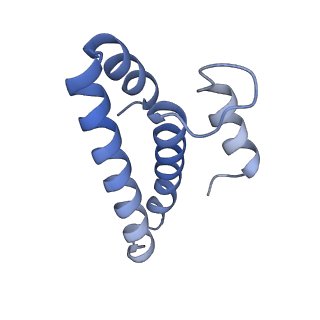 19076_8rdv_OL_v1-2
Cryo-EM structure of P. urativorans 70S ribosome in complex with hibernation factor Balon, mRNA and P-site tRNA (structure 2).