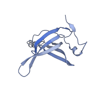 19076_8rdv_Oi_v1-2
Cryo-EM structure of P. urativorans 70S ribosome in complex with hibernation factor Balon, mRNA and P-site tRNA (structure 2).