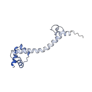 19076_8rdv_PO_v1-2
Cryo-EM structure of P. urativorans 70S ribosome in complex with hibernation factor Balon, mRNA and P-site tRNA (structure 2).