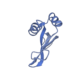 19076_8rdv_Pj_v1-2
Cryo-EM structure of P. urativorans 70S ribosome in complex with hibernation factor Balon, mRNA and P-site tRNA (structure 2).