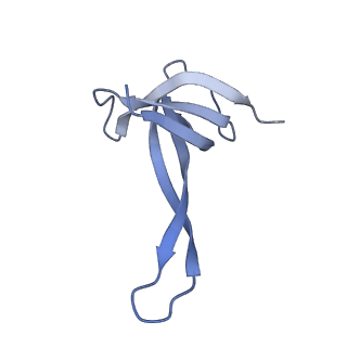 19076_8rdv_QZ_v1-2
Cryo-EM structure of P. urativorans 70S ribosome in complex with hibernation factor Balon, mRNA and P-site tRNA (structure 2).