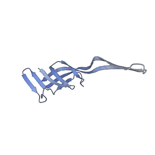 19076_8rdv_Qb_v1-2
Cryo-EM structure of P. urativorans 70S ribosome in complex with hibernation factor Balon, mRNA and P-site tRNA (structure 2).