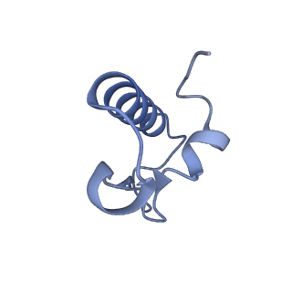 19076_8rdv_R3_v1-2
Cryo-EM structure of P. urativorans 70S ribosome in complex with hibernation factor Balon, mRNA and P-site tRNA (structure 2).