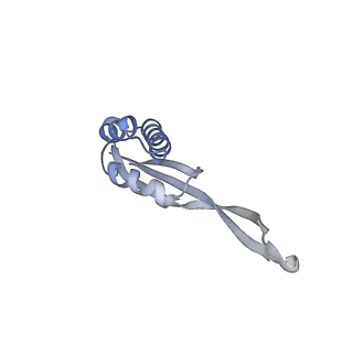 19076_8rdv_RF_v1-2
Cryo-EM structure of P. urativorans 70S ribosome in complex with hibernation factor Balon, mRNA and P-site tRNA (structure 2).