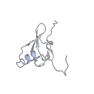 19076_8rdv_SP_v1-2
Cryo-EM structure of P. urativorans 70S ribosome in complex with hibernation factor Balon, mRNA and P-site tRNA (structure 2).