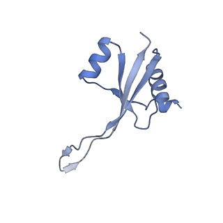 19076_8rdv_Sn_v1-2
Cryo-EM structure of P. urativorans 70S ribosome in complex with hibernation factor Balon, mRNA and P-site tRNA (structure 2).