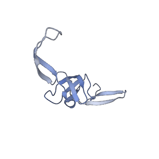 19076_8rdv_TI_v1-2
Cryo-EM structure of P. urativorans 70S ribosome in complex with hibernation factor Balon, mRNA and P-site tRNA (structure 2).