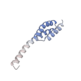 19076_8rdv_To_v1-2
Cryo-EM structure of P. urativorans 70S ribosome in complex with hibernation factor Balon, mRNA and P-site tRNA (structure 2).