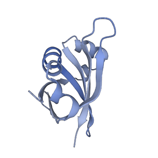 19076_8rdv_UC_v1-2
Cryo-EM structure of P. urativorans 70S ribosome in complex with hibernation factor Balon, mRNA and P-site tRNA (structure 2).