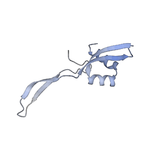 19076_8rdv_WD_v1-2
Cryo-EM structure of P. urativorans 70S ribosome in complex with hibernation factor Balon, mRNA and P-site tRNA (structure 2).