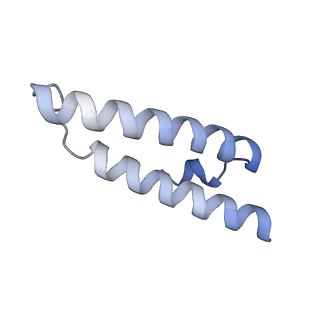 19076_8rdv_XE_v1-2
Cryo-EM structure of P. urativorans 70S ribosome in complex with hibernation factor Balon, mRNA and P-site tRNA (structure 2).