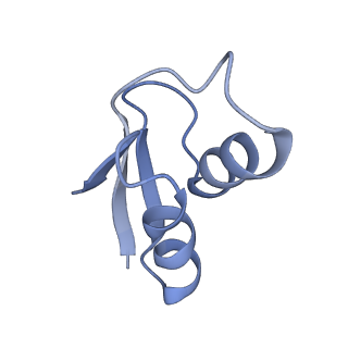 19076_8rdv_YW_v1-2
Cryo-EM structure of P. urativorans 70S ribosome in complex with hibernation factor Balon, mRNA and P-site tRNA (structure 2).