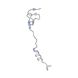 19076_8rdv_aA_v1-2
Cryo-EM structure of P. urativorans 70S ribosome in complex with hibernation factor Balon, mRNA and P-site tRNA (structure 2).