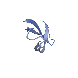 19076_8rdv_bk_v1-2
Cryo-EM structure of P. urativorans 70S ribosome in complex with hibernation factor Balon, mRNA and P-site tRNA (structure 2).