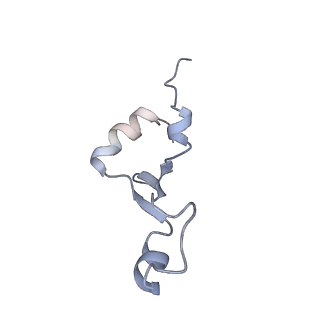 19076_8rdv_dh_v1-2
Cryo-EM structure of P. urativorans 70S ribosome in complex with hibernation factor Balon, mRNA and P-site tRNA (structure 2).