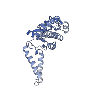 19077_8rdw_A4_v1-2
Cryo-EM structure of P. urativorans 70S ribosome in complex with hibernation factor Balon and EF-Tu(GDP) (structure 3).