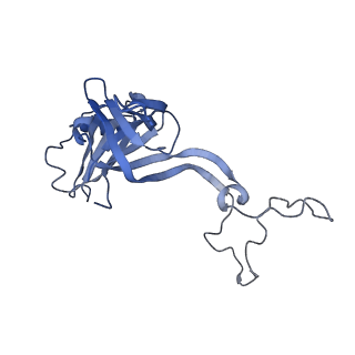 19077_8rdw_Af_v1-2
Cryo-EM structure of P. urativorans 70S ribosome in complex with hibernation factor Balon and EF-Tu(GDP) (structure 3).