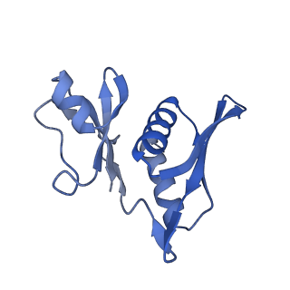 19077_8rdw_BQ_v1-2
Cryo-EM structure of P. urativorans 70S ribosome in complex with hibernation factor Balon and EF-Tu(GDP) (structure 3).