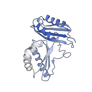 19077_8rdw_CT_v1-2
Cryo-EM structure of P. urativorans 70S ribosome in complex with hibernation factor Balon and EF-Tu(GDP) (structure 3).