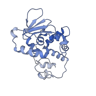 19077_8rdw_Dm_v1-2
Cryo-EM structure of P. urativorans 70S ribosome in complex with hibernation factor Balon and EF-Tu(GDP) (structure 3).