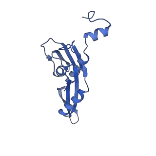 19077_8rdw_E5_v1-2
Cryo-EM structure of P. urativorans 70S ribosome in complex with hibernation factor Balon and EF-Tu(GDP) (structure 3).